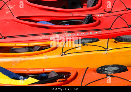 CRUZ BAY, John, Îles Vierges américaines — des kayaks colorés bordent la plage de Christian Cove à Cruz Bay, ville principale et port d'entrée sur les Îles Vierges américaines. Ces embarcations animées offrent aux visiteurs la possibilité d'explorer la côte et de se divertir sur l'eau, mettant en valeur les activités de plein air populaires disponibles sur cette île des Caraïbes. Banque D'Images