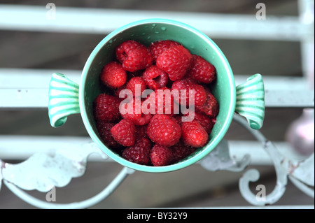 Dans l'ancienne tasse de framboise Banque D'Images