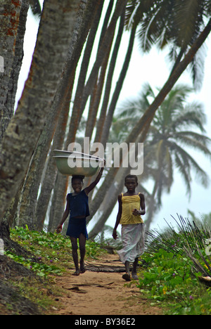 Les jeunes filles portant des paniers de marcher le long d'un sentier du littoral dans la région de Sassandra, Côte d'Ivoire, Afrique de l'Ouest Banque D'Images