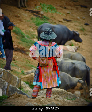 'Ethniques' Flower Hmong femme vente du bétail au marché de Bac Ha, Vietnam Banque D'Images