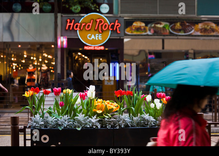 Tulipes et autres fleurs colorées dans la case en face de Hard Rock Cafe de Kowloon Hong Kong, femme avec parapluie en passant. JMH4143 Banque D'Images