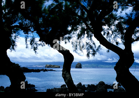 Vue côtière sur l'île de Pico de Madelena à travers le canal de l'île de Faial aux Açores Banque D'Images