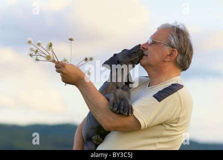 Vieil homme avec un chiot de grand danois. Banque D'Images