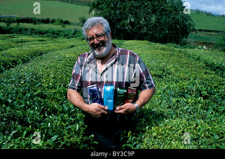 Un visiteur de la plantation de thé Gorreana sur l''île de São Miguel aux Açores serrant quatre paquets de thé différentes Banque D'Images