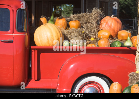 USA, New York, Peconic, camion chargé avec citrouilles Banque D'Images