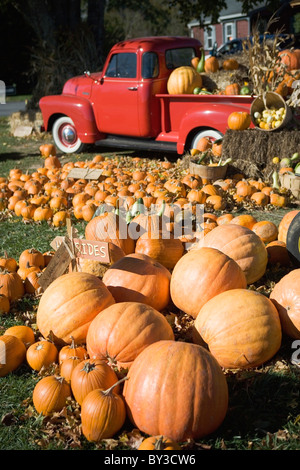 USA, New York, Peconic, pumpkin farm avec camionnette Banque D'Images