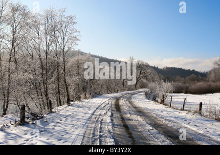 Paysage d'hiver. Route et arbres couverts de neige Banque D'Images