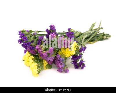 Bouquet de belles fleurs de statice sur fond blanc. Banque D'Images