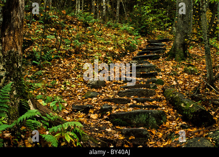 Concept de sentier traversant des arbres forestiers ombragés dans le Vermont, Nouvelle-Angleterre automne forêt chemin d'automne, sentiers Banque D'Images