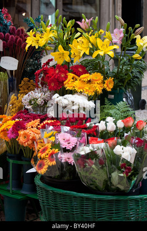 Fleurs à vendre. Vendeur de rue Lisbonne Banque D'Images