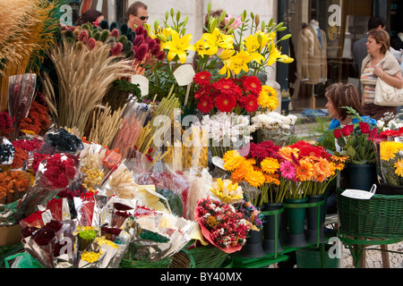 Fleurs à vendre. Vendeur de rue Lisbonne Banque D'Images