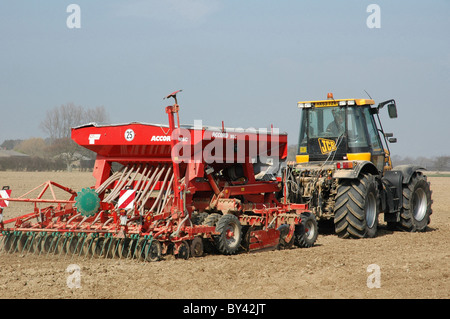 Blé de forage sur le West Sussex (Chichester) Plaine Côtière. Mars. Banque D'Images