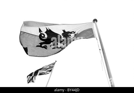 Drapeau gallois et Union Jack. Banque D'Images