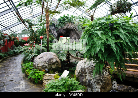 Montréal, Canada - à l'intérieur Le Jardin botanique de Montréal, un des plus grands jardins botaniques d'intérieur doté d'une gamme d'environnements d'orchidées d'épices aux cactus. Banque D'Images