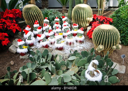 Jardin botanique Noël Caroler Cacti Montréal Canada // MONTRÉAL, Canada — les cacti sont décorés comme des chœurs de Noël à l'intérieur du jardin botanique de Montréal, l'un des plus grands jardins botaniques intérieurs au monde, avec une gamme de différents environnements allant des orchidées aux épices en passant par les cactus. Banque D'Images