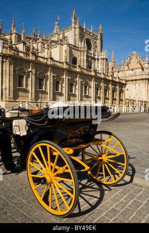 (Vide) cheval transport attend pour les touristes sur la Plaza del Triunfo, face de la cathédrale. Espagne Séville. Banque D'Images