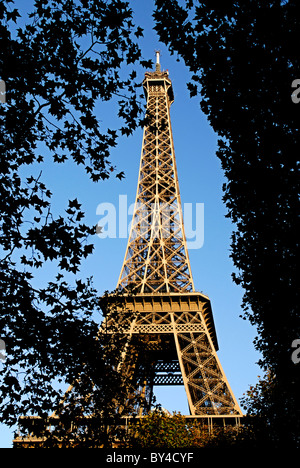 Tour Eiffel de Paris parmi les feuillages Banque D'Images