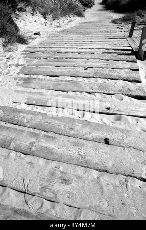 Un long sentier sinueux fait par des panneaux et des planches de bois dans le sable à la tête d'un long chemin dans la distance Banque D'Images