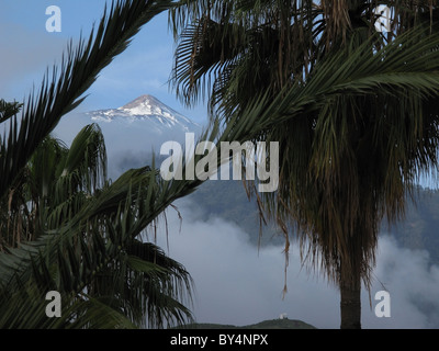 Sommet du mont Teide, juste au-dessus des nuages, vu de Puerto de la cruz, tenerife, islas Canarias (Iles Canaries, Espagne). Banque D'Images