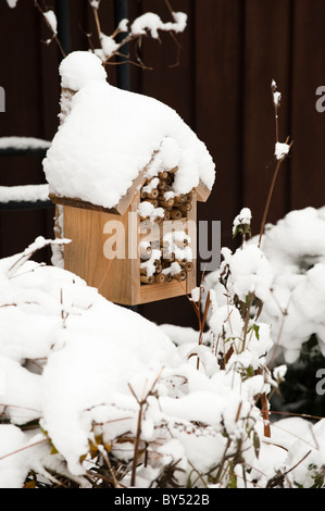 Maison des insectes dans la neige Banque D'Images