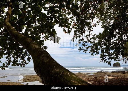 Costa Rica Caribbean Beach ville de Puerto Viejo de Talamanca, Costa Rica, à l'égard Cocles rock. Banque D'Images