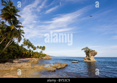 La forêt tropicale rencontre la mer des Caraïbes à l'Gandoca-Manzanillo Wildlife Refuge près de Puerto Viejo de Talamanca dans la Province de Limon, Costa Rica. Banque D'Images