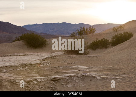 Coucher du soleil et de la boue séchée craque à la télévision Mesquite Sand Dunes in Death Valley National Park, California, USA. Banque D'Images