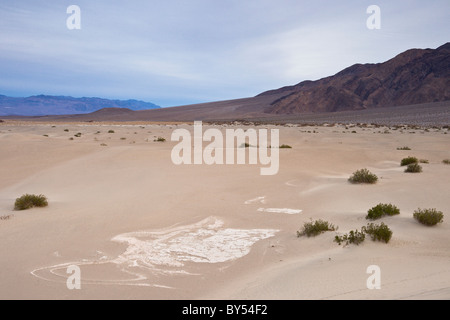 La boue séchée fissures dans l'ancien lit du lac du mesquite Flat Sand Dunes in Death Valley National Park, California, USA. Banque D'Images