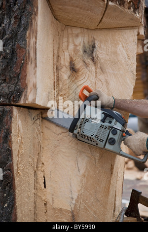 Détail d'un homme couper un arbre avec une tronçonneuse Banque D'Images