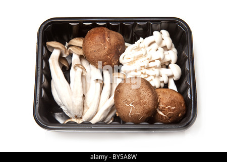 Paquet ou fort de champignons Enoki, chinois,député shimeji-Shiitake et isolated on a white background studio. Banque D'Images