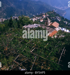 Italie - côte amalfitaine - vignobles de Ravello Banque D'Images