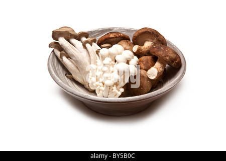 Bol de champignons Enoki, chinois,député shimeji-Shiitake et isolated on a white background studio. Banque D'Images