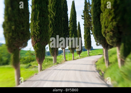 Winding Road, nr Pienza, Toscane, Italie Banque D'Images