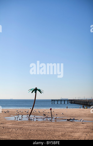 Flock of seagulls, Virginia Beach, Virginia, USA Banque D'Images