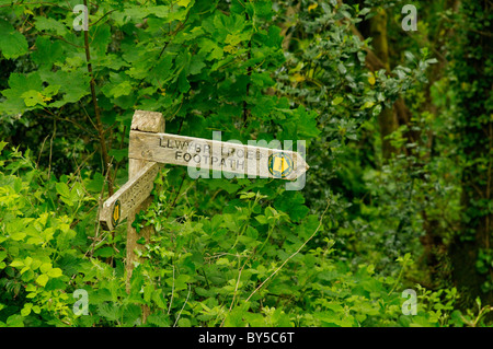 Un sentier dans la vallée de Teifi signe Banque D'Images