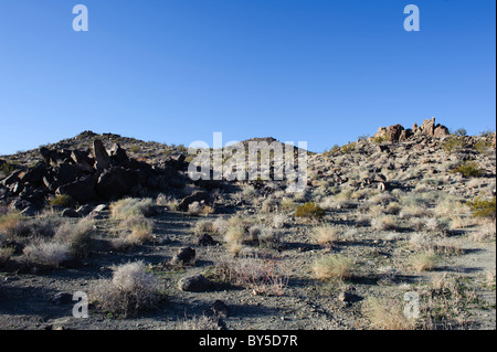 Chukar zone de chasse dans l'ouest du désert de Mojave, près de Barstow, CA Banque D'Images