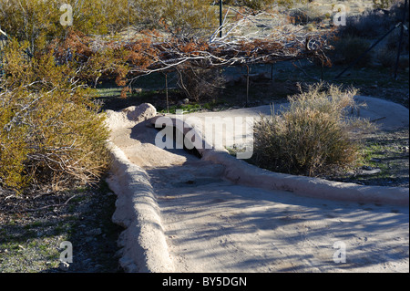 Dans la zone de chasse des goinfres Chukar dans l'ouest du désert de Mojave, près de Barstow, CA Banque D'Images