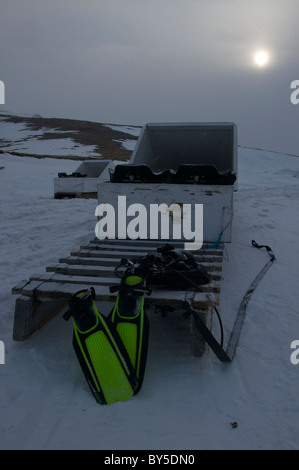 Plongée sous-marine de l'Arctique canadien sur le Floe Edge Pond Inlet, île de Baffin, Nunavut, Canada Banque D'Images