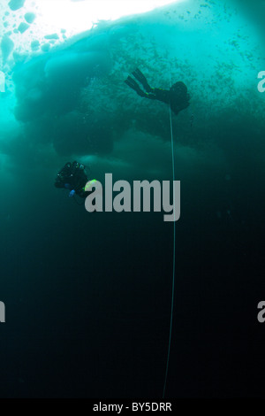 Plongée sous-marine de l'Arctique canadien sur le Floe Edge Pond Inlet, île de Baffin, Nunavut, Canada Banque D'Images