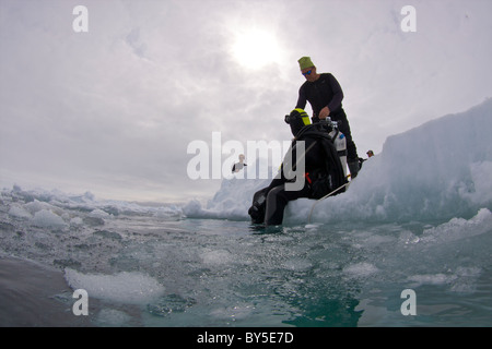 Plongée sous-marine de l'Arctique canadien sur le Floe Edge Pond Inlet, île de Baffin, Nunavut, Canada Banque D'Images
