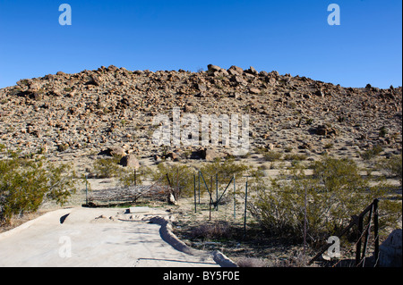 Dans la zone de chasse des goinfres Chukar dans l'ouest du désert de Mojave, près de Barstow, CA Banque D'Images