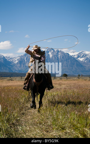 Cowboy à cheval avec lasso, snowy Teton Range dans la distance Banque D'Images