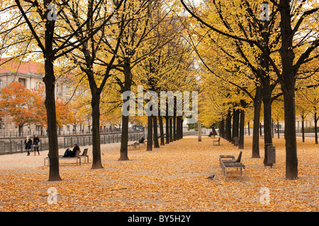 Allemagne,Berlin,l'île des musées, Lustgarten, le parc en automne Banque D'Images