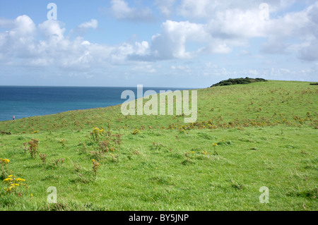 Barafundle Bay dans la région de Pembrokeshire, Pays de Galles Banque D'Images