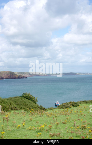 Barafundle Bay dans la région de Pembrokeshire, Pays de Galles Banque D'Images