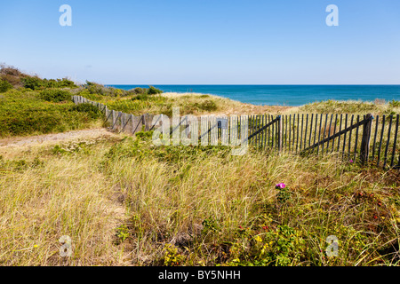 Les piquets de clôture sur la falaise au-dessus de Nauset Light Beach dans Eastham, Massachusetts New England Banque D'Images