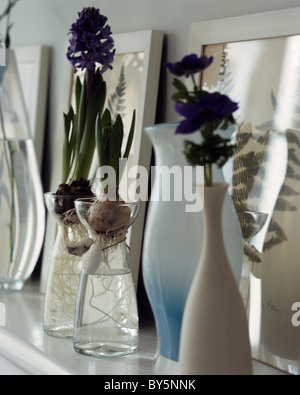 Still-Life de jacinthes bleues dans l'ampoule de verre sur la tablette avec de grands vases vases Banque D'Images