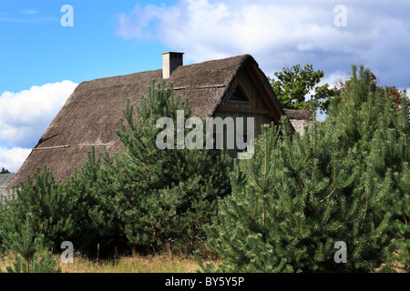 Toit de chaume d'une maison dans la Forêt de Tuchola (Bory Tucholskie), Pologne. Banque D'Images