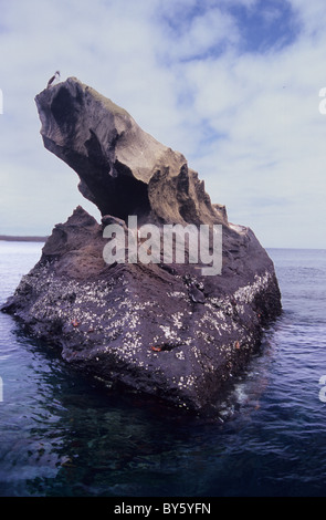 Rock dans l'océan. Bartolome Bay. Panorama magnifique et les paysages dans les îles Galapagos. Banque D'Images