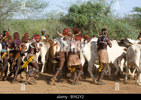 L'Afrique, l'Éthiopie, la vallée de la rivière Omo Tribu Hamer la cérémonie des taureaux de saut Banque D'Images